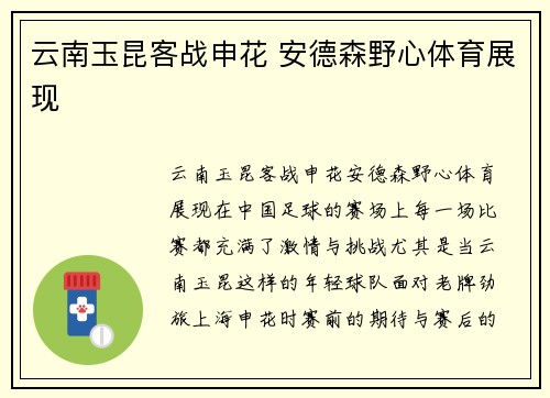 云南玉昆客战申花 安德森野心体育展现